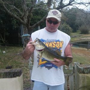 Meet your Posher, Lee